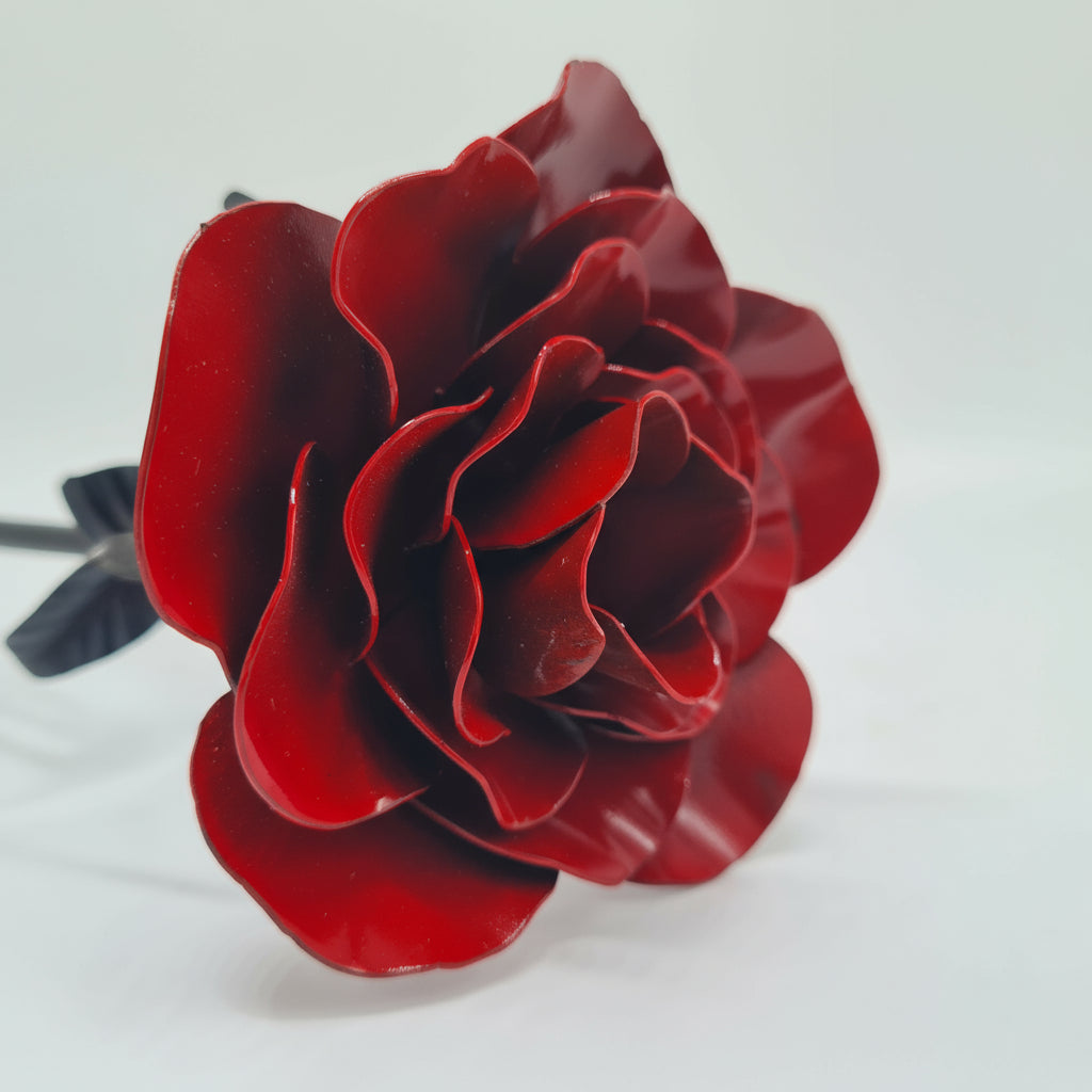 Ewige Rose Farbig klein